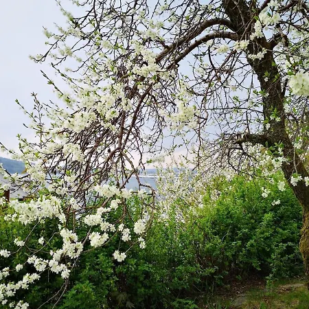 Cozy House In Historical Area 펜션