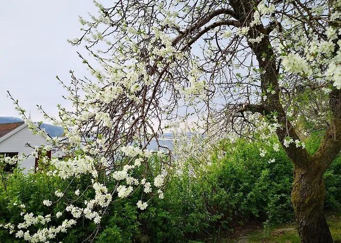 Cozy House In Historical Area Дом отдыха